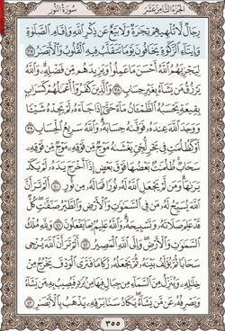 hilokal-notebook-image