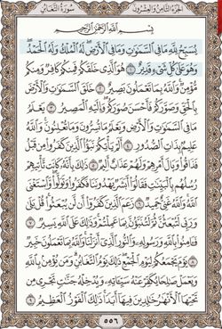 hilokal-notebook-image