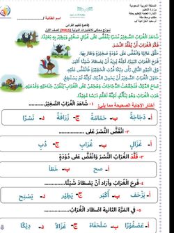 hilokal-notebook-image