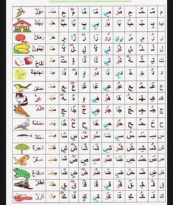 hilokal-notebook-image
