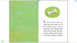 hilokal-notebook-image