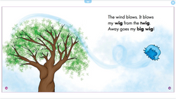 hilokal-notebook-image