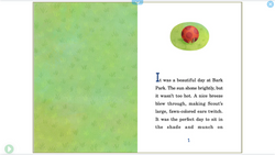 hilokal-notebook-image