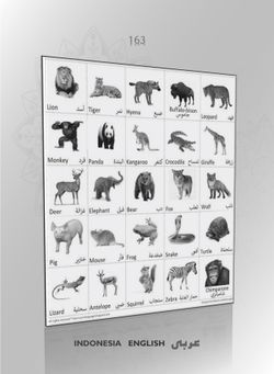 hilokal-notebook-image