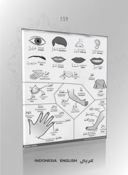 hilokal-notebook-image