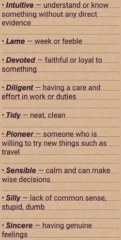 hilokal-notebook-image