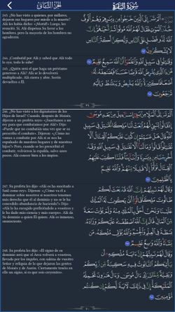 hilokal-notebook-image