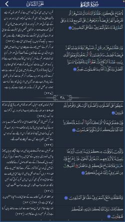 hilokal-notebook-image