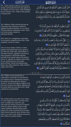 hilokal-notebook-image