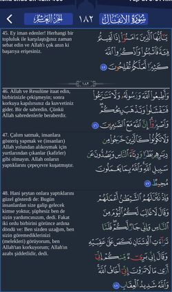hilokal-notebook-image