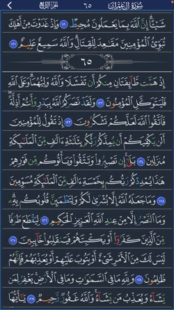 hilokal-notebook-image