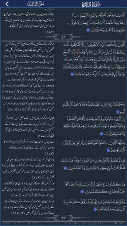 hilokal-notebook-image