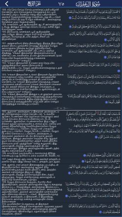 hilokal-notebook-image