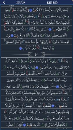 hilokal-notebook-image
