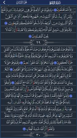 hilokal-notebook-image