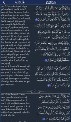 hilokal-notebook-image