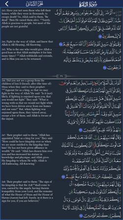 hilokal-notebook-image