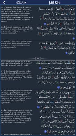 hilokal-notebook-image