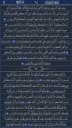 hilokal-notebook-image