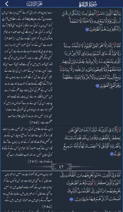 hilokal-notebook-image