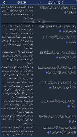 hilokal-notebook-image