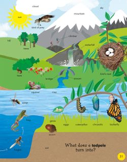 hilokal-notebook-image