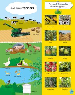 hilokal-notebook-image