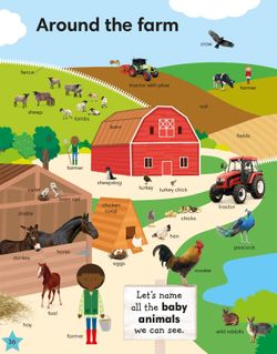 hilokal-notebook-image