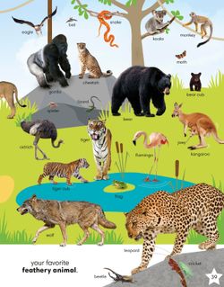 hilokal-notebook-image