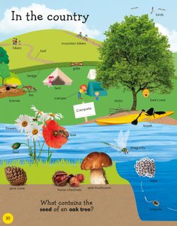 hilokal-notebook-image