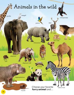 hilokal-notebook-image