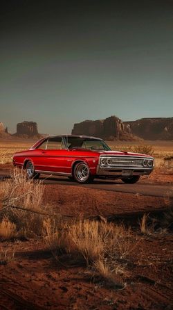 hilokal-notebook-image