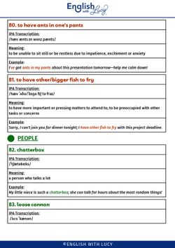 hilokal-notebook-image