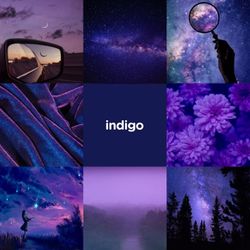 hilokal-notebook-image