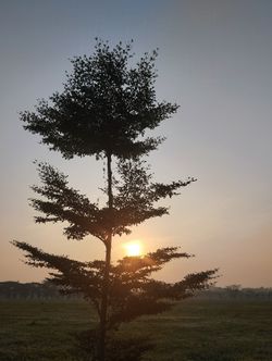hilokal-notebook-image