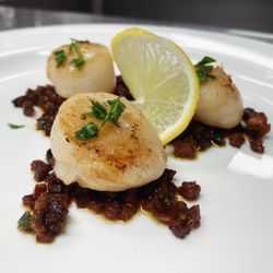 hilokal-notebook-image