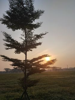 hilokal-notebook-image
