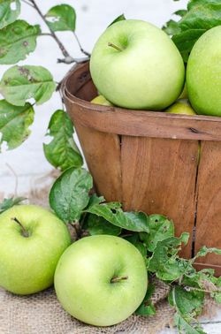 hilokal-notebook-image