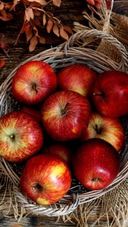 hilokal-notebook-image