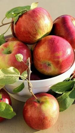 hilokal-notebook-image