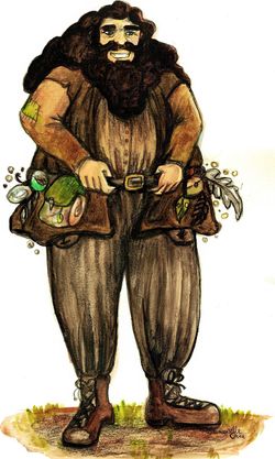 hilokal-notebook-image