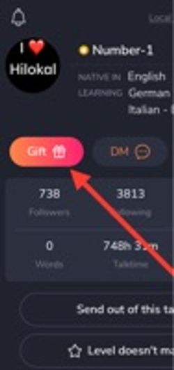 hilokal-notebook-image