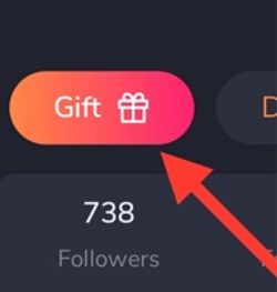 hilokal-notebook-image