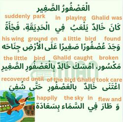 hilokal-notebook-image