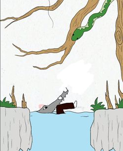 hilokal-notebook-image