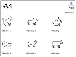 hilokal-notebook-image