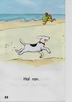 hilokal-notebook-image
