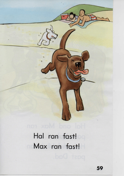 hilokal-notebook-image
