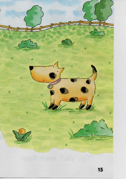 hilokal-notebook-image