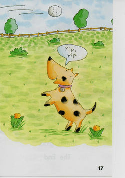 hilokal-notebook-image